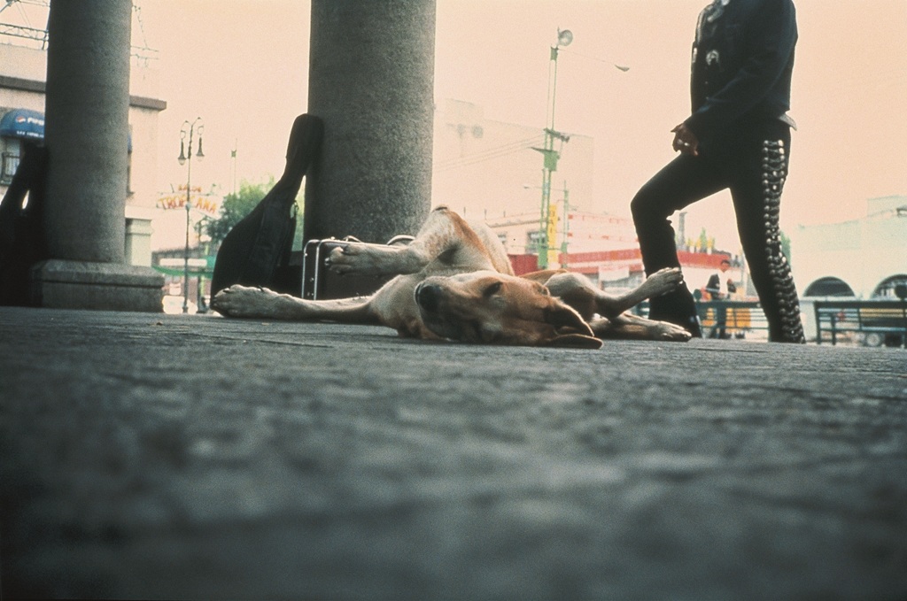 Ein Hund liegt mit geschlossenen Augen seitlich auf den Rücken gedreht mit den Pfoten in die Luft gereckt auf einem städtischen Platz auf dem Boden.
