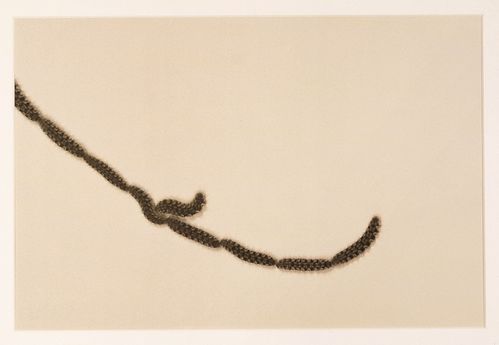 Eine Fotografie in Vogelperspektive von mehreren Rauben, die sich so gruppieren, dass eine Form entsteht.