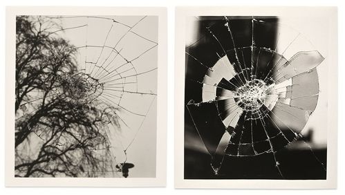 Left: Black-and-white photograph of a cracked window pane, with a blurred tree in the background on the left. Right: Black-and-white photograph of a cracked window pane.