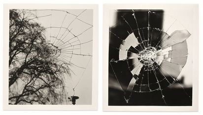 Links: Schwarzweißfotografie einer zersprungenen Scheibe, links im Hintergrund unscharf ein Baum. Rechts: Schwarzweißfotografie einer zersprungenen Scheibe.