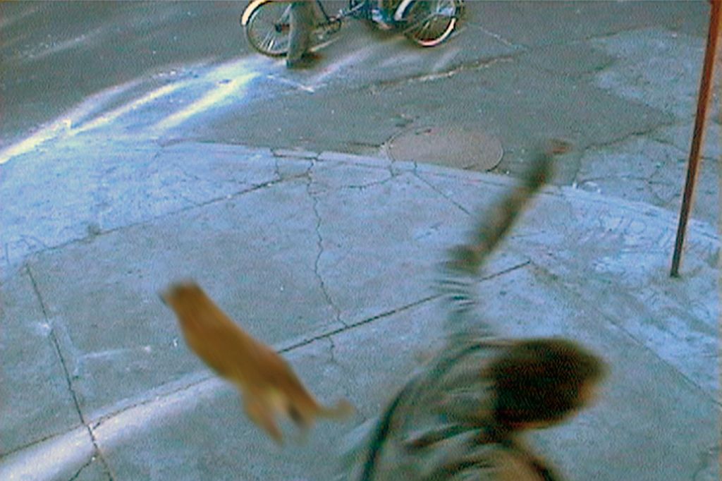 Video-Still: Bildausschnitt einer Straßenecke. Ein Hund rennt vorbei, Ein Mann hat den linken Arm weit nach oben gehoben