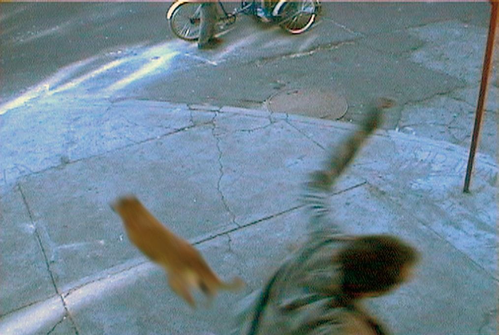 Video still: Image detail of a street corner. A dog runs past, a man has raised his left arm high up