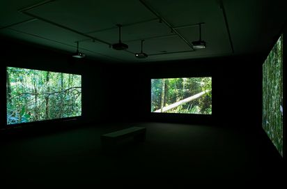 Darkened room with 3 video projections, each on one wall. All three show images of dense green vegetation.