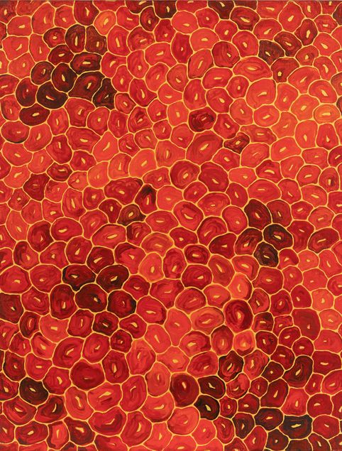 © YAYOI KUSAMA, photo: Thomas Dashuber