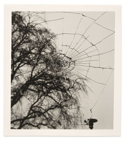 Black-and-white photograph of a cracked window pane, with a blurred tree in the background on the left. 