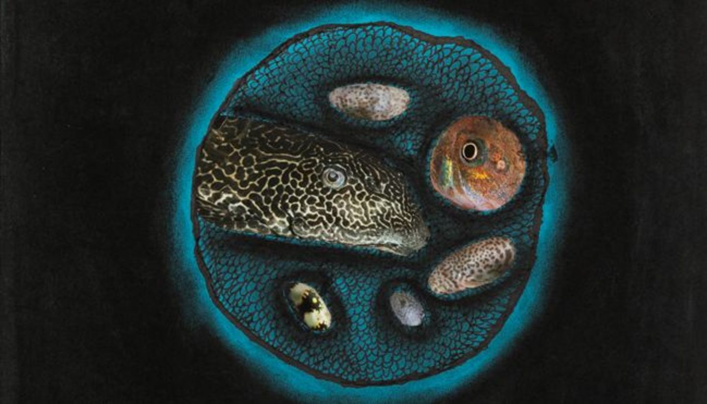 Link zum Werk von Yayoi Kusama