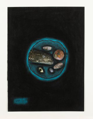 Einige Fische und Muscheln oder andere Meerestiere sind vor dunklem Hintergrund in einer baluen Blase, wie in einem Netz, gefangen.