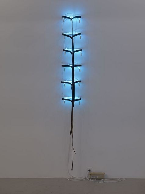 © Pier Paolo Calzolari/VG BILD-KUNST Bonn, photo: Genevieve Hanson/Hauser & Wirth
