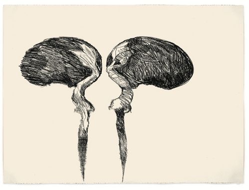 Zeichnung zweier beinahe symmetrischer Objekte, die an Früchte, aber auch an Vögel erinnern könnten.