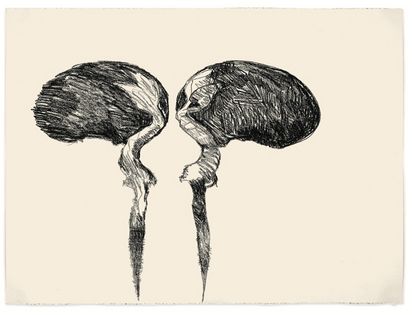 Zeichnung zweier beinahe symmetrischer Objekte, die an Früchte, aber auch an Vögel erinnern könnten.