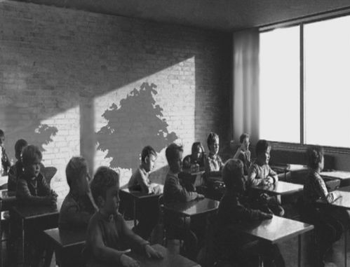 Black and white image of a primary school classroom. The shadow of a treetop can be seen on the back wall. 