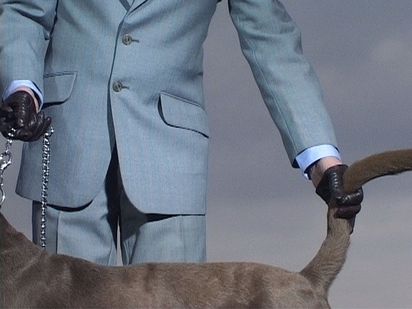 Der Torso eines Mannes im Anzug hält vor grauem Himmel einen grauen Hund an der Leine und gleichzeitig am Schwanz fest