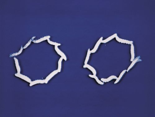 Standbild aus einer Videoinstallation: Vor blauem Hintergrund winden sich zwei gestrichelte weiße Kreise.