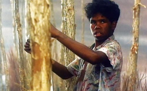 A black boy stands between thin tree trunks.