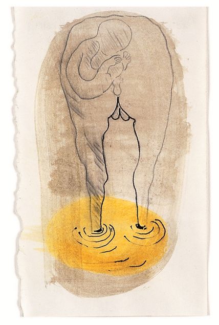 Zeichnung eines durchsichtigen Pferdehinterteils mit einem angedeuteten Emryo darin, zu seinen Füßen ein gelber, pfützenartiger Fleck.