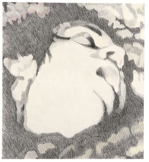 Zeichnung der Ansicht eines zur Seite blickenden, liegenden Gesichts vom Kinn hinauf. Der Mund ist geöffnet, die Augen blicken nach rechts oben aus dem Bildraum.