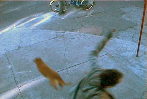 Video still: Image detail of a street corner. A dog runs past, a man has raised his left arm high up