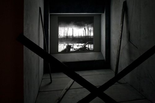 The viewer looks over two crossed wooden slats onto a wall projection showing a desolate landscape in black and white