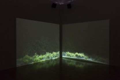In a dark room, two image surfaces are projected onto one corner of the wall. Both show a narrow strip of low-growing green vegetation at the bottom of the image. These are brightly spotlighted while the rest of the image surface is in darkness.